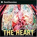 The Heart: Our Circulatory System