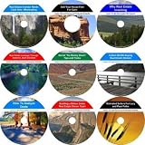 The Exhaustive 9 Hour No Down Payment, Cash Creating, Real Estate Mentoring System