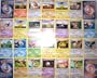 110 Bulk Collectible Pokemon Cards Party Favors