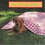 Con Cho' Con O Dau (Where's the Puppy?  (Vietnamese Edition)