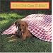 Con Cho' Con O Dau (Where's the Puppy?  (Vietnamese Edition)