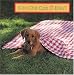 Con Cho' Con O Dau (Where's the Puppy?  (Vietnamese Edition)