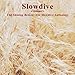 Shining Breeze: Slowdive Anthology