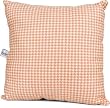 Just Buggy Check Pillow by Glenna Jean