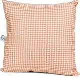 Just Buggy Check Pillow by Glenna Jean