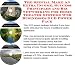 The Special Make An Extra Income, Success Principles and Biz Networking for Home Theater Systems Web Businesses 3 CD Power Pack