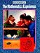 The Mathematics Experience by Mary Ann Haubner ISBN 0395494095