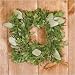 Boxwood Wreath - 9 in