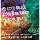 A Hyperactive Workout For The Flying Squad by  Ocean Colour Scene 