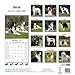 Borzoi Calendar - Breed Specific Borzoi Calendar - 2015 Wall calendars - Dog Calendars - Monthly Wall Calendar by Avonside