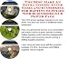 Book The Best Make An Extra Income, Inner Game and eCommerce for Rafting Supplies Web Businesses 3 CD Power Pack