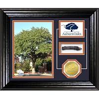 Auburn Oaks Authentic Oaks Desktop Photo Mint