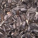 BLACK SUNFLOWER SEED - 1KG
