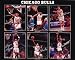 All Products : Chicago Bulls (Scottie Pippen, Michael Jordan, John Paxson, Horace Grant, B.J. Armstrong, Bill Cartwright) Sports Poster Print - 16" X 20"