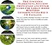 The Insider's Marketing, Success Principles and Inner Game for Great Home Business Opportunities Biz 3 CD Package