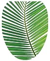Toilet Tattoos TT-1500-O Palm Frond Design, Elongated