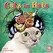 Cats In Hats 2017 Wall Calendar