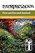 First and Second Samuel: Interpretation: A Bible Commentary for Teaching and Preaching