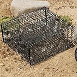 Frabill Crawfish Trap 16.5 Inches