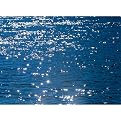 Stelle di Mare - 8' 4" x 6"