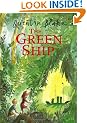 The Green Ship (Red Fox picture books)