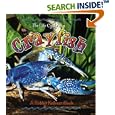The Life Cycle of a Crayfish (The Life Cycle) by Bobbie Kalman and Rebecca Sjonger