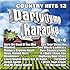 Party Tyme Karaoke - Country Hits 13 [16-song CD+G]