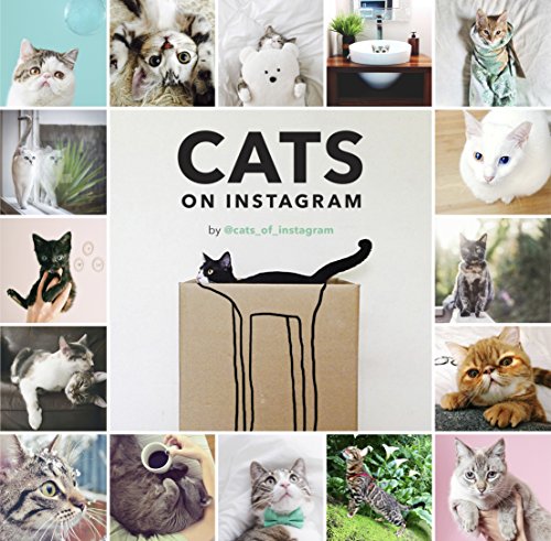 Cats on Instagram Cats on Instagram