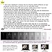 Coromose Sexy Women Lingerie net Lace Top Garter Belt Thigh Stocking Pantyhose