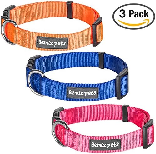 Dog Collar, Set of 3, Classic, Solid, Nylon Dog Collar, Colors: Orange, Blue, Red By Bemix Pets