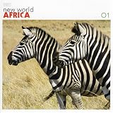 Revue Various Artists  / New World Africa