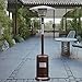 Giantex Patio Heater, 50,000 BTU Steel Propane Heater Lp Gas W/Accessories, Floor-Standing Commercial Outdoor Heater (Bronze)