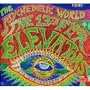 The Psychedelic World of the 13th Floor Elevators