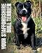 Your Staffordshire Bull Terrier