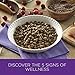 Wellness Complete Health Natural Dry Healthy Weight Cat Food, Chicken & Whitefish, 5-Pound Bag