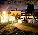 Starry Lights 40 Ft/240 LEDs Fairy String Lights, White