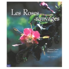Les roses sauvages
