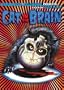 Cat in the Brain
