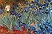 Vincent Van Gogh (Irises) Art Poster Print - 24