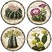 Cactus Flowers Drink Coasters - Style XVKT5