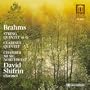 Brahms: String Quintet In G Major/Quintet In B Minor
