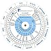 Pregnancy Wheel and Ovulation Calendar