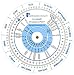Pregnancy Wheel and Ovulation Calendar