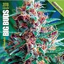 Ed Rosenthal's Big Buds 2010: Marijuana Calendar