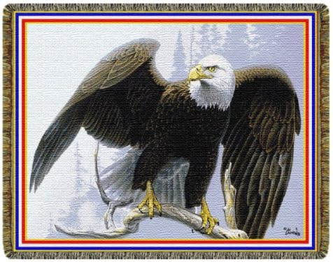 The Perch American Bald Eagle by Al Agnew Throw