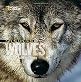Face to Face with Wolves (Face to Face with Animals)