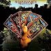 Turn of the Cards