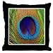 Peacock Feather Design Throw Pillow