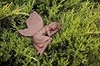 Callia an Earth Fairy Garden Statuary Callia an Earth Fairy Garden Statuary