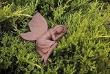 Callia an Earth Fairy Garden Statuary